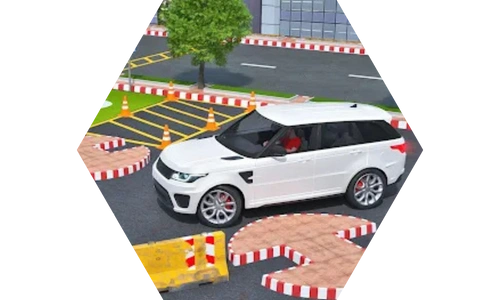 Level or career mode